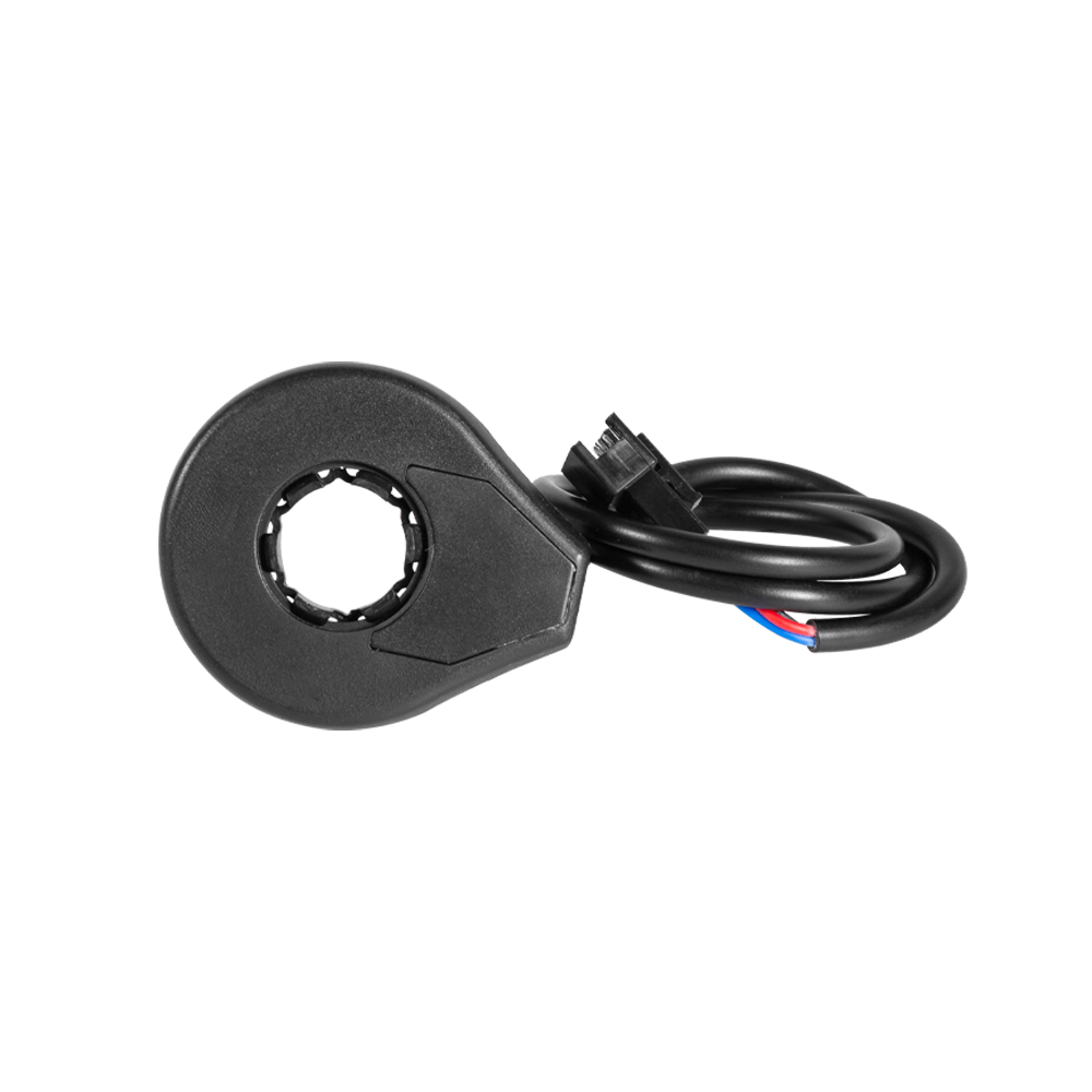 Electric bicycle booster