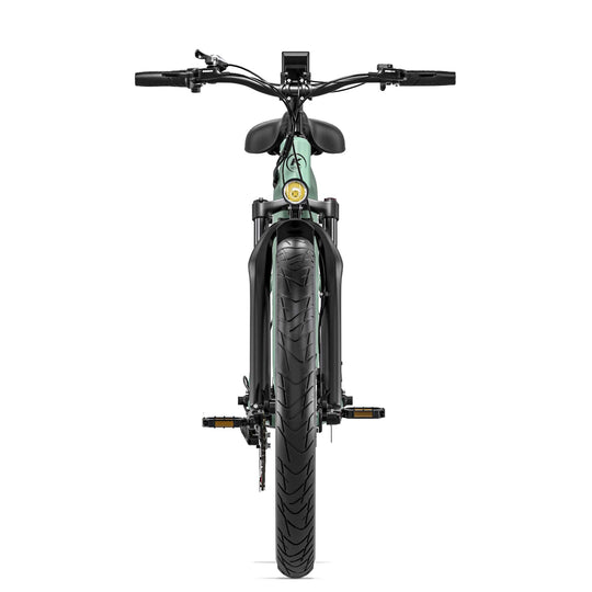KAKABIKE K500 Electric Bicycle 1000W Motor Oil Brake