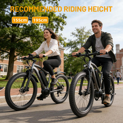ROBORN super G73 Electric Bicycle 48v250w 13Ah E-bike