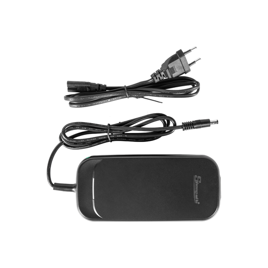 Shengmilo electric bicycle original charger European standard / American standard