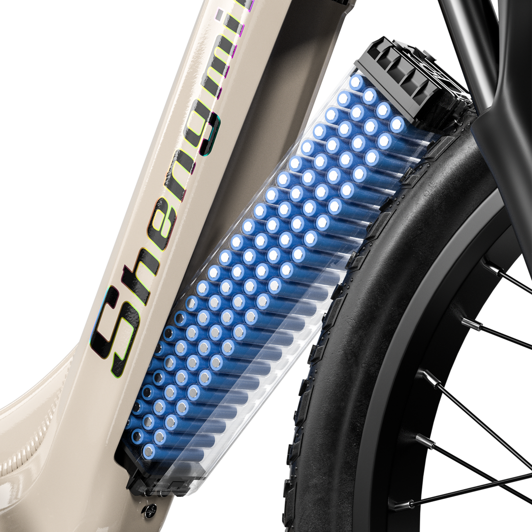 S700 Dual Drive ebike 2000W Oil Brake