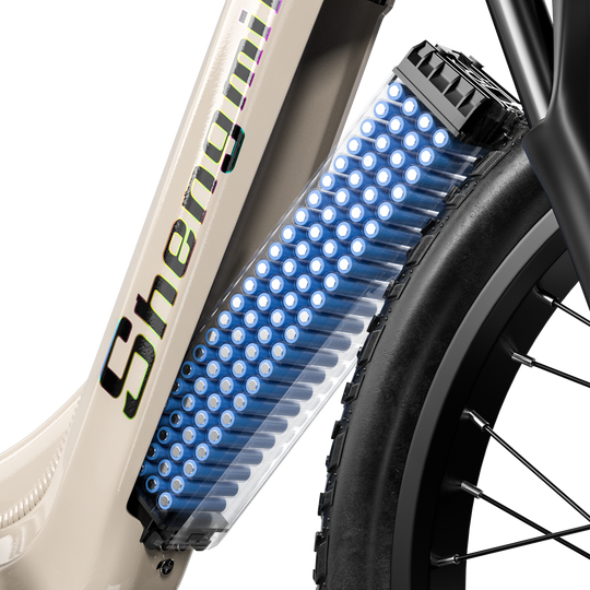 S700 Dual Drive ebike 2000W Oil Brake