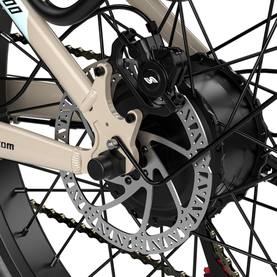 S700 Dual Drive ebike 2000W Oil Brake