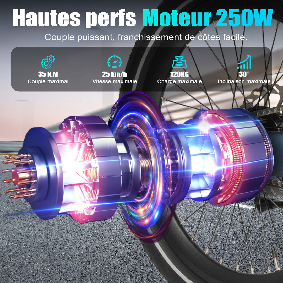 MAXTRON SMART30 20 inch folding commuting electric bike