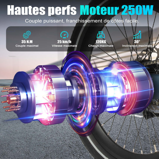 MAXTRON SMART30 20 inch folding commuting electric bike