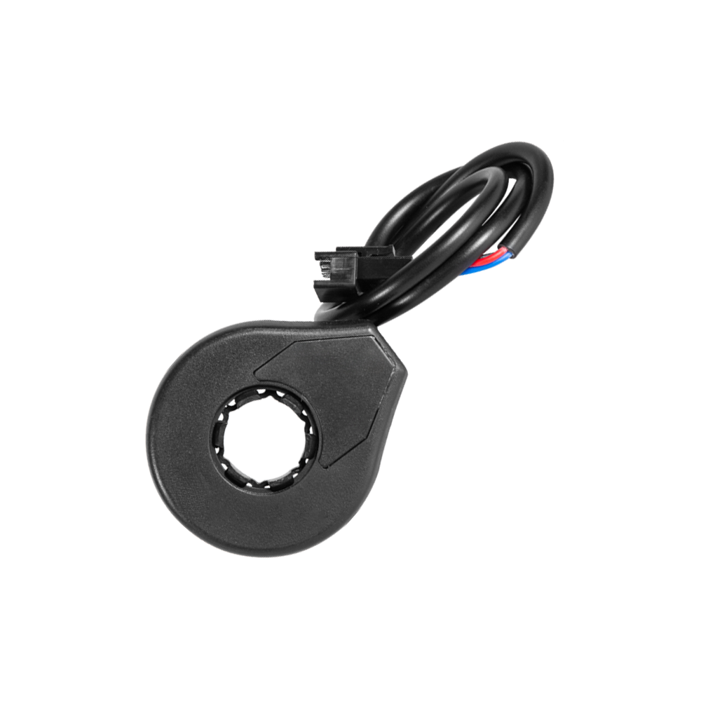 Electric bicycle booster