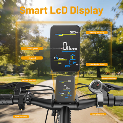 ROBORN super G73 Electric Bicycle 48v250w 13Ah E-bike