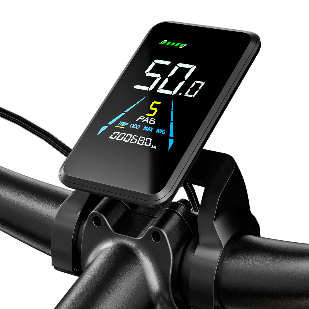 S700 Dual Drive ebike 2000W Oil Brake