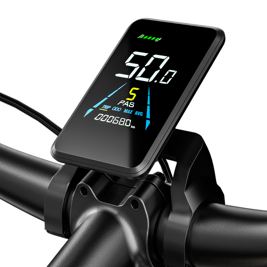 S700 Dual Drive ebike 2000W Oil Brake