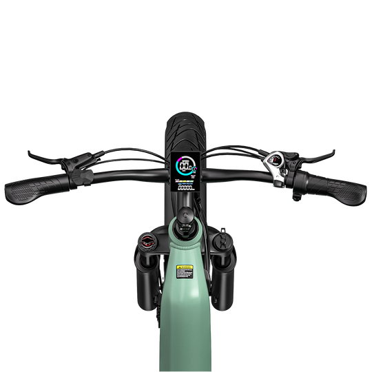 JOOBIKE JOO1 Electric Bicycle 1000W Motor Oil Brake