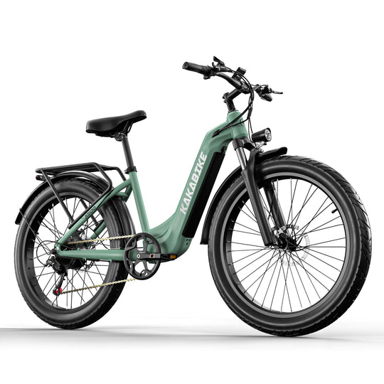 KAKABIKE K500 Electric Bicycle 1000W Motor Oil Brake