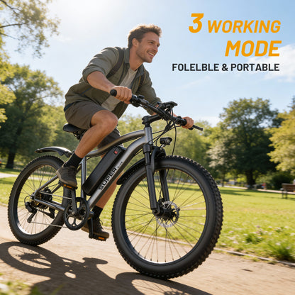 ROBORN super G73 Electric Bicycle 48v250w 13Ah E-bike