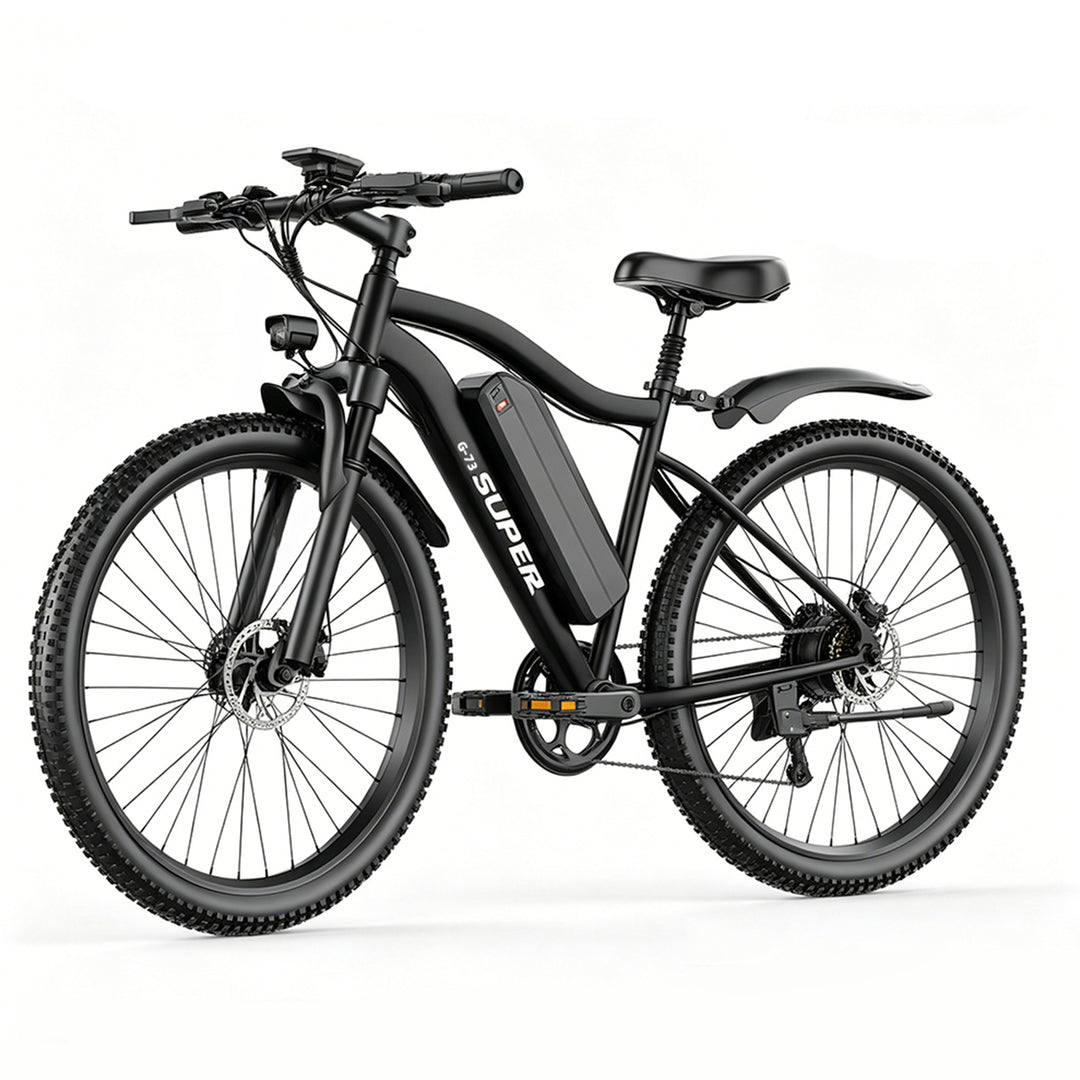 ROBORN super G73 Electric Bicycle 48v250w 13Ah E-bike