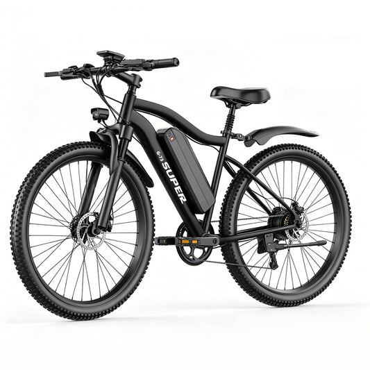 ROBORN super G73 Electric Bicycle 48v250w 13Ah E-bike