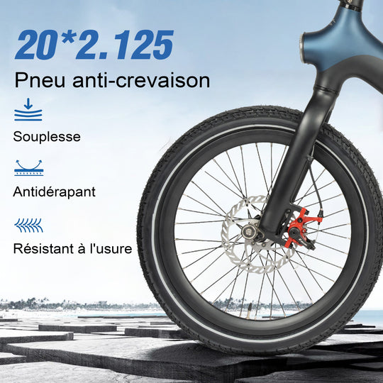 MAXTRON SMART30 20 inch folding commuting electric bike