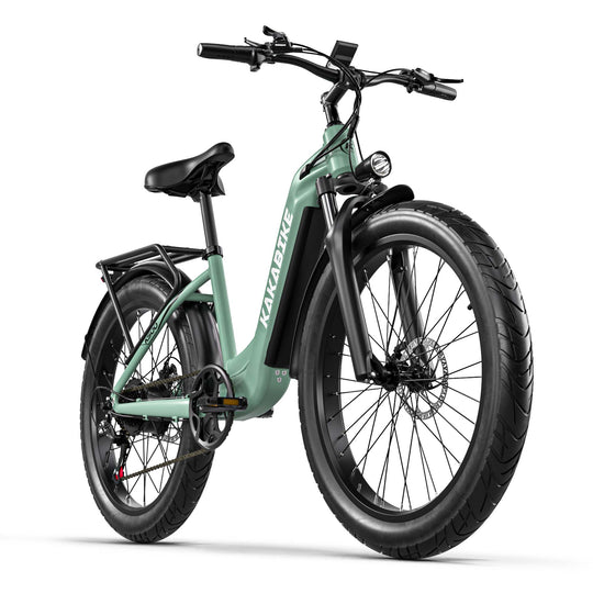 KAKABIKE K500 Electric Bicycle 1000W Motor Oil Brake