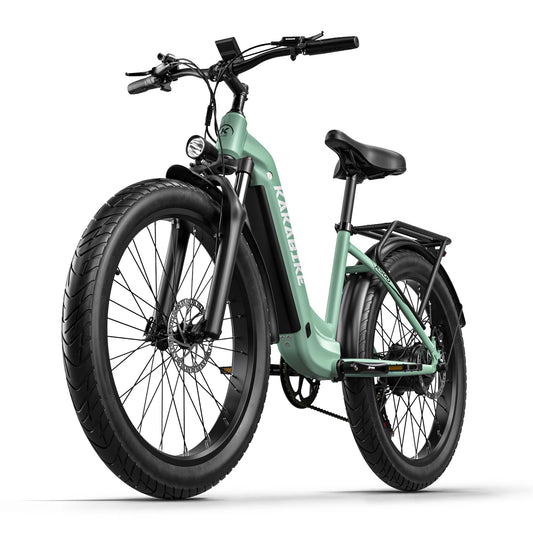 KAKABIKE K500 Electric Bicycle 1000W Motor Oil Brake