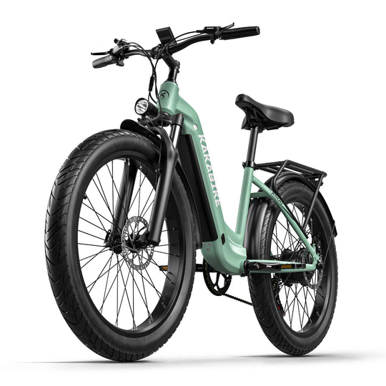 KAKABIKE K500 Electric Bicycle 1000W Motor Oil Brake