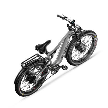 S600 Dual Drive eBike 2000w oil brake