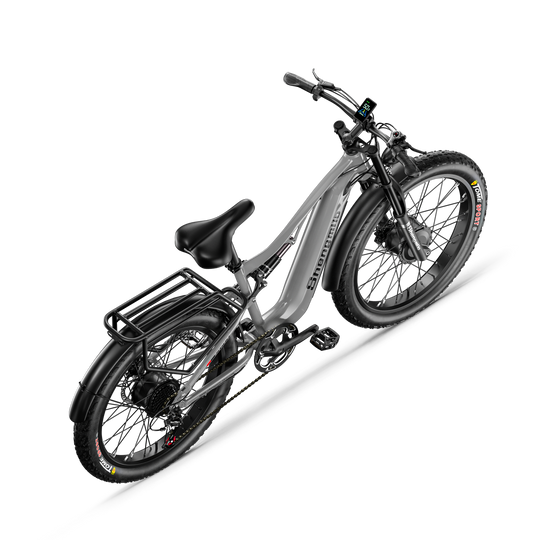 S600 Dual Drive eBike 2000w oil brake