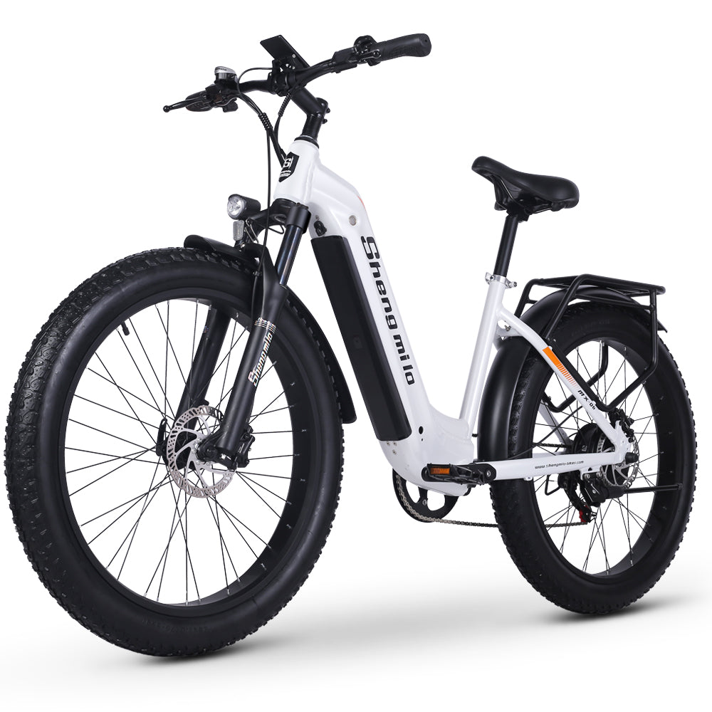 MX06 Straddle ebike 48V17.5Ah 1000W Oil brake