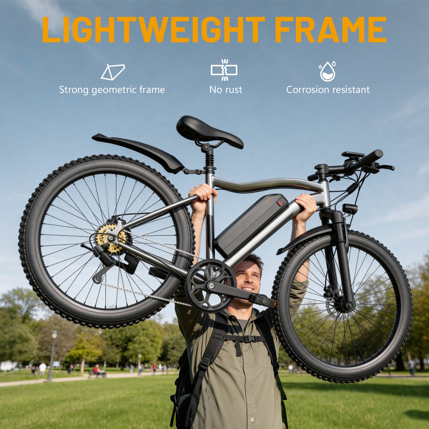 ROBORN super G73 Electric Bicycle 48v250w 13Ah E-bike