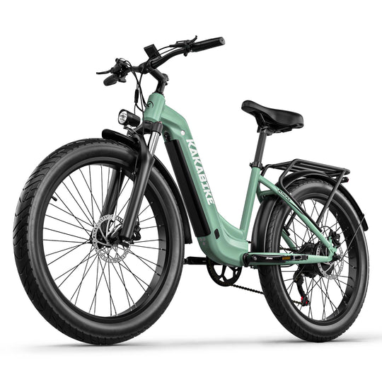 KAKABIKE K500 Electric Bicycle 1000W Motor Oil Brake