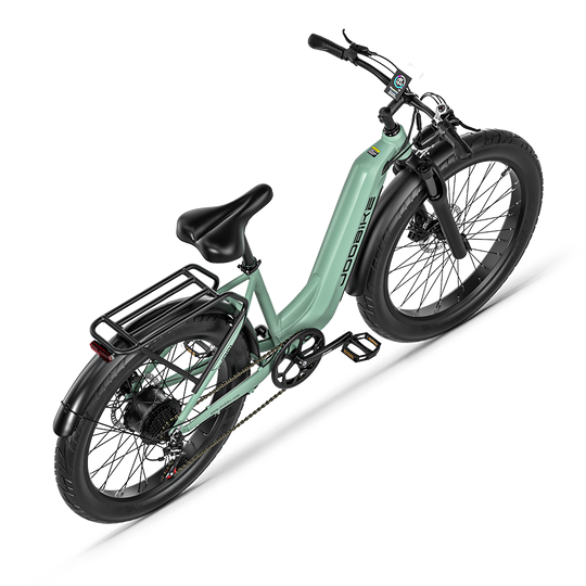 JOOBIKE JOO1 Electric Bicycle 1000W Motor Oil Brake