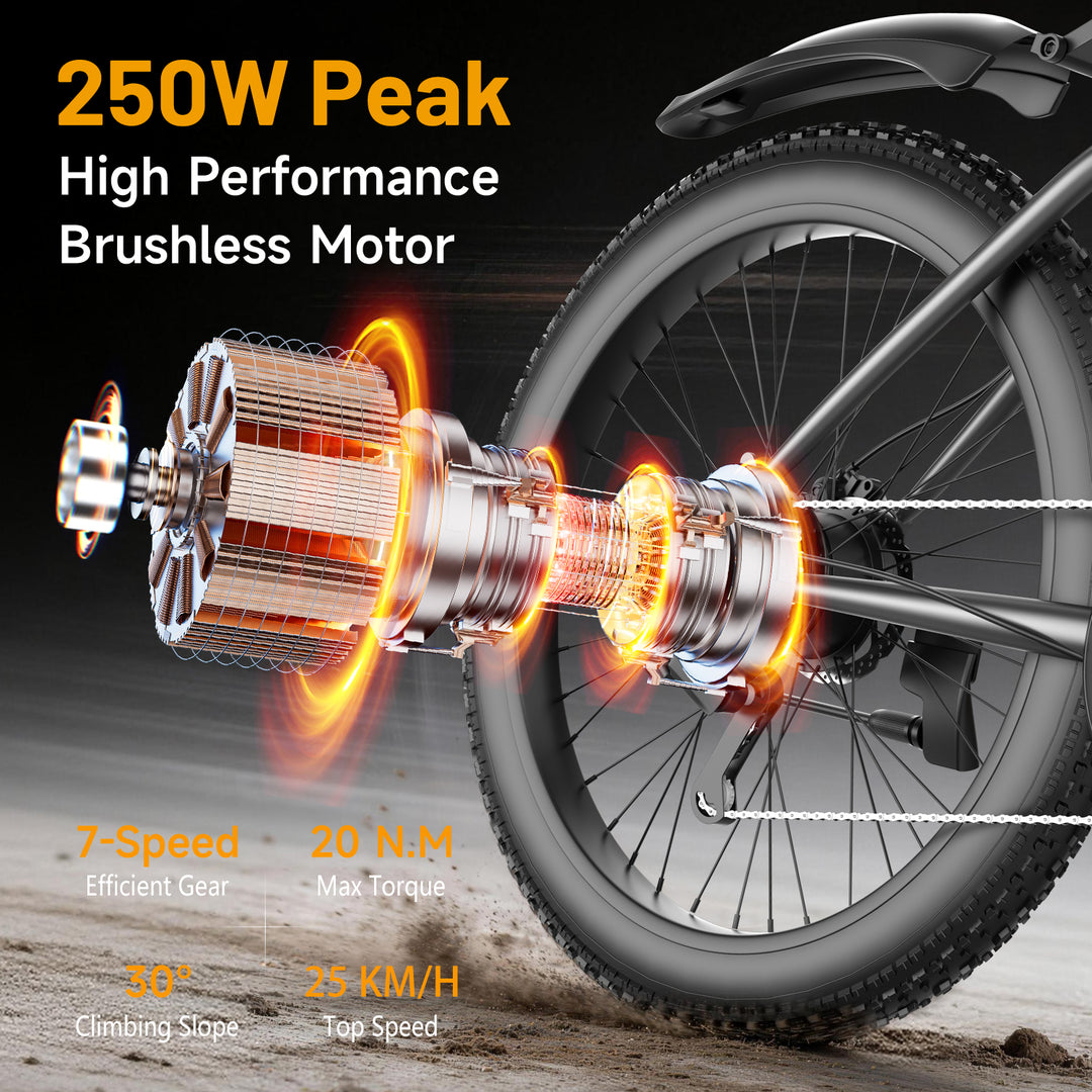 ROBORN super G73 Electric Bicycle 48v250w 13Ah E-bike