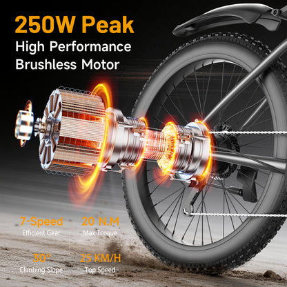 ROBORN super G73 Electric Bicycle 48v250w 13Ah E-bike