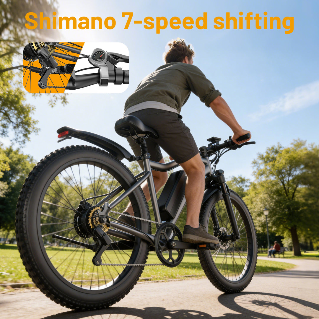 ROBORN super G73 Electric Bicycle 48v250w 13Ah E-bike