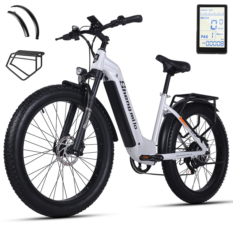 MX06 Straddle ebike 48V17.5Ah 1000W Oil brake