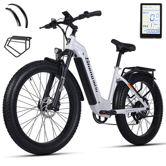 MX06 Straddle ebike 48V17.5Ah 1000W Oil brake