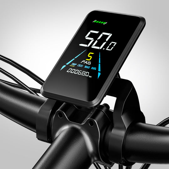 S600 Dual Drive eBike 2000w oil brake