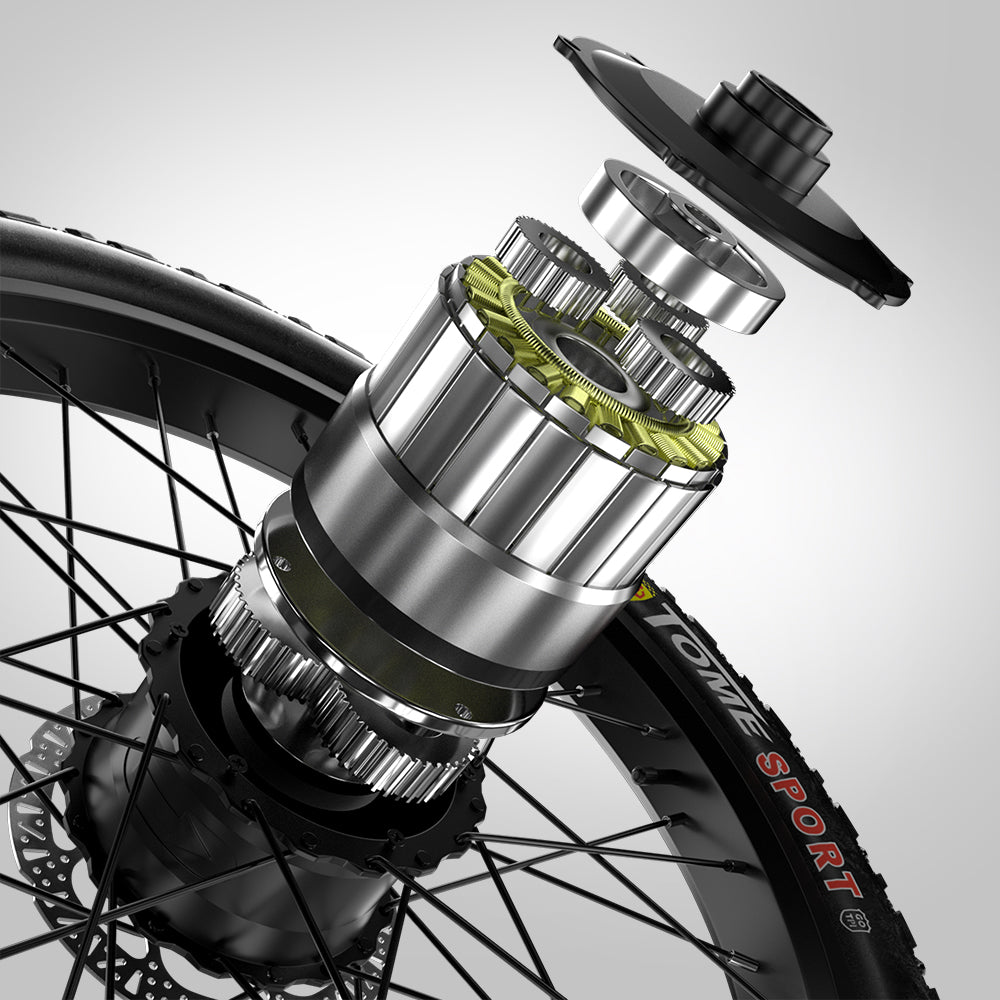 S600 Dual Drive eBike 2000w oil brake