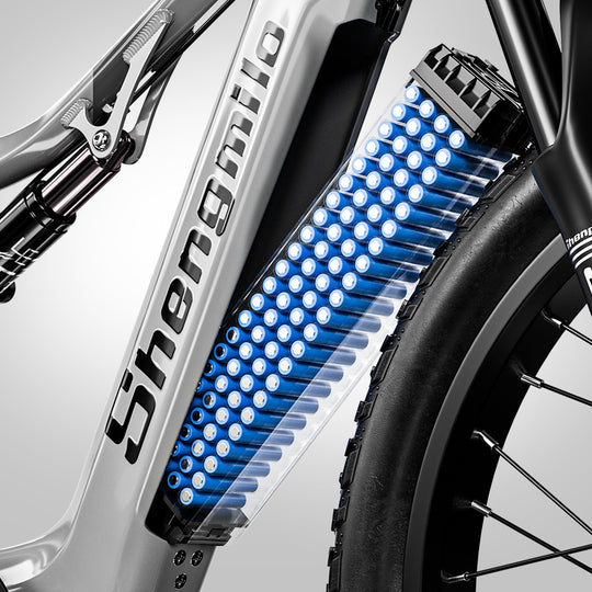 S600 Dual Drive eBike 2000w oil brake
