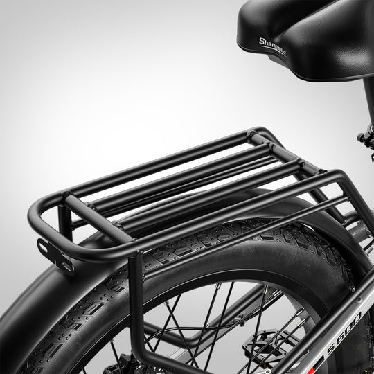 S600 Dual Drive eBike 2000w oil brake