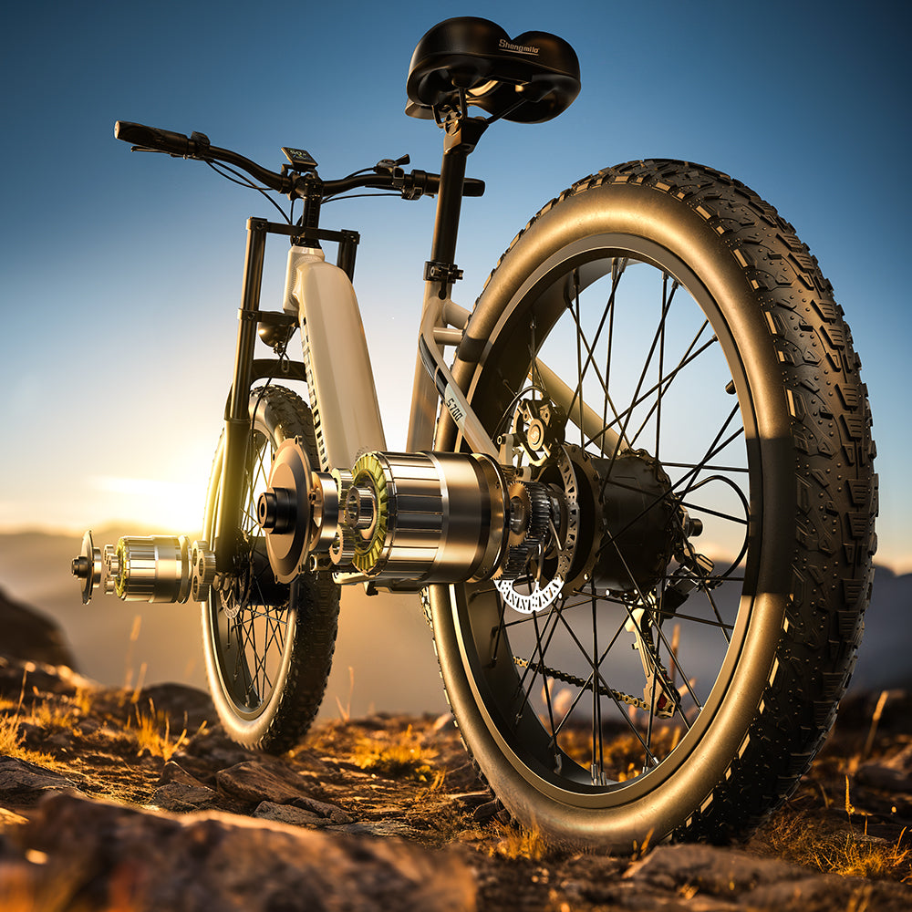 S700 Dual Drive ebike 2000W Oil Brake