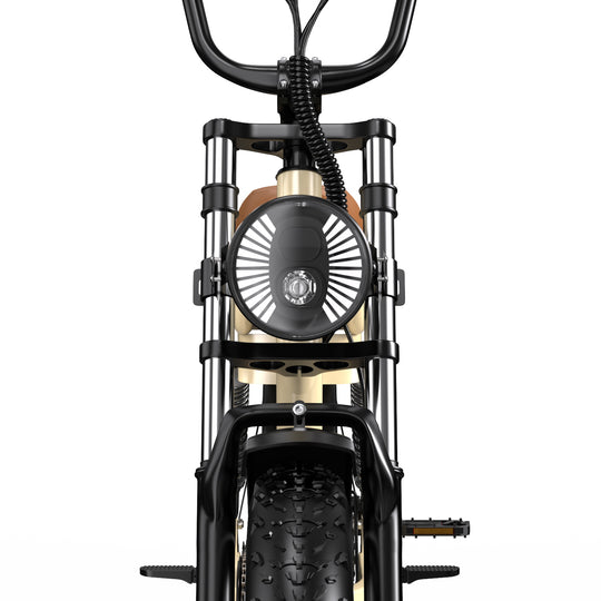 ONESPORT W77 20'' Electric Bike Max Speed 45km/h 48V18Ah 500W