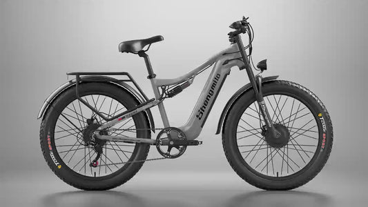 S600 Dual Drive eBike 2000w oil brake